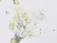 Champagne Bottle with crystal earrings