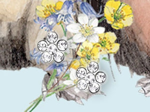 guinea pig with crystal flower earrings