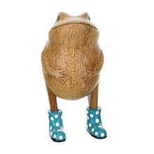 DCUK Jolly Frog With Spotty Wellies - Blue