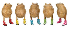 DCUK Jolly Frog With Spotty Wellies - Red