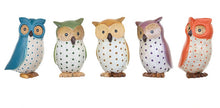 DCUK Ducky Spotty Parliament Owl - Blue