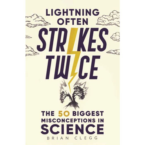lightning often strikes twice book