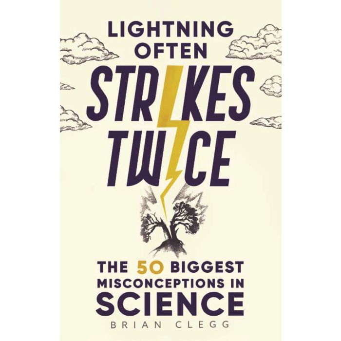 lightning often strikes twice book