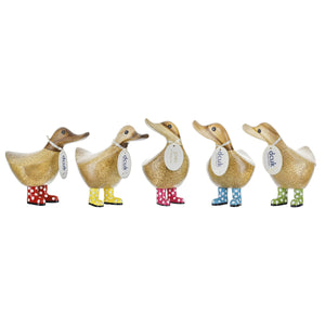 dcuk ducky spotty welly group
