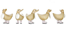 dcuk ducky group with wild strawberry boots