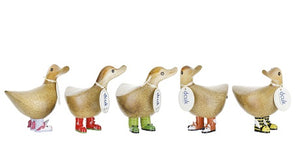 dcuk wild wellies assorted ducky