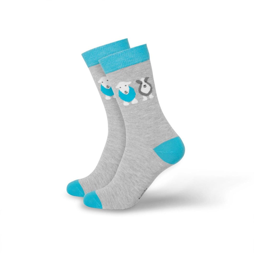 herdy and sheppy grey with blue socks